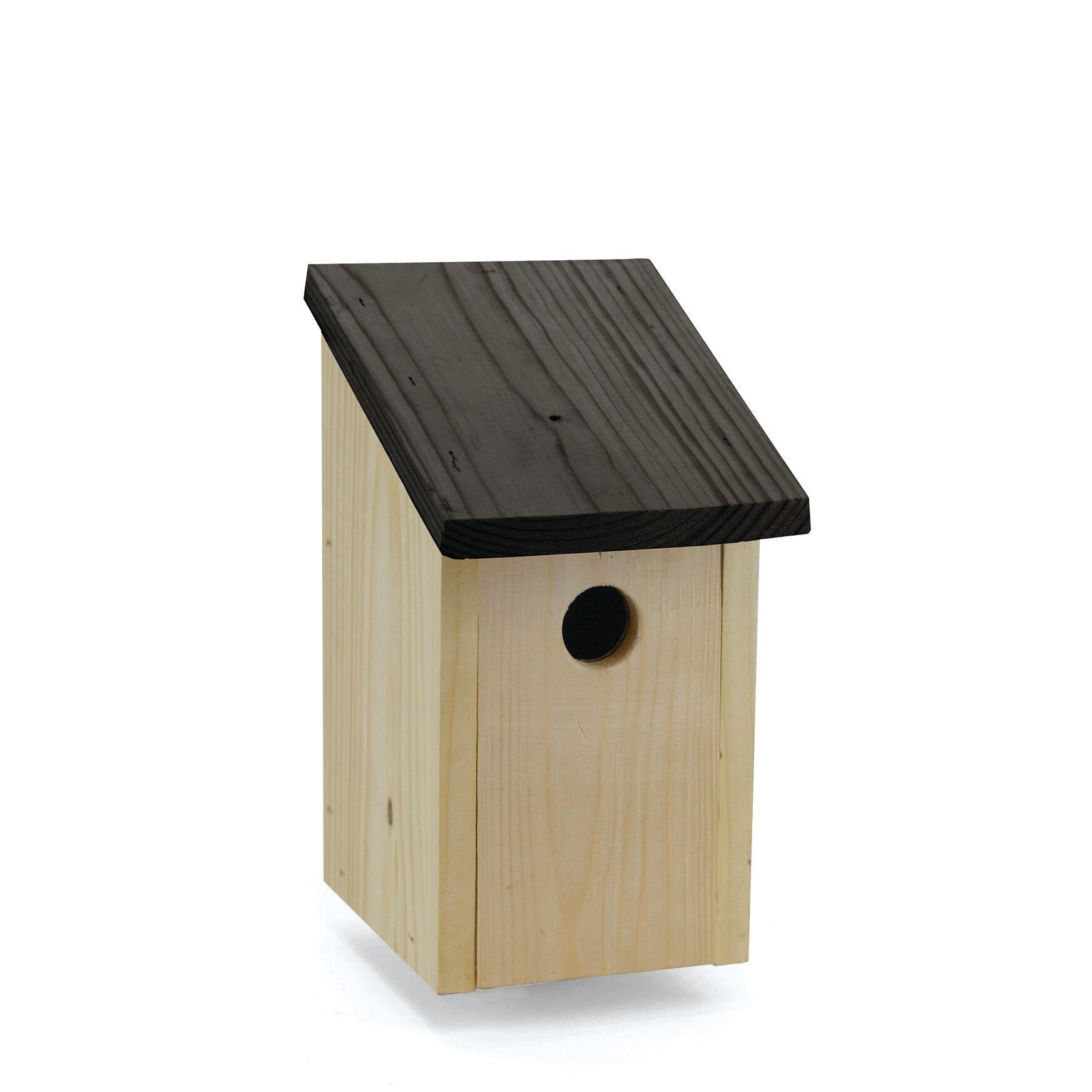 Fågelholk, småfågel